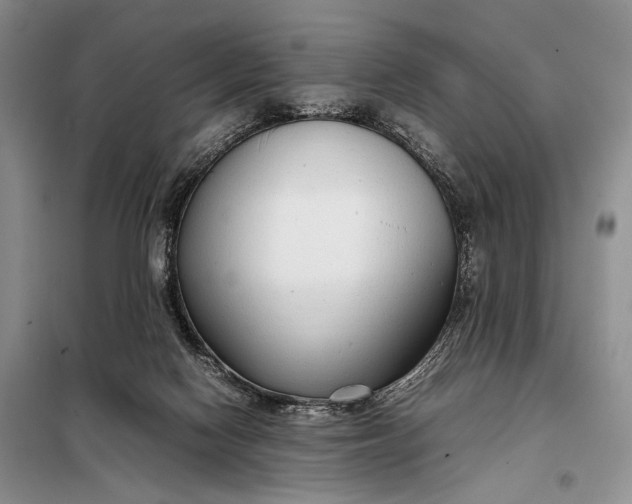 X0000098120074200804181532