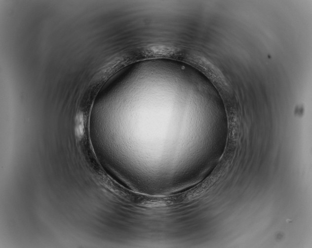 X0000098120075200804181532
