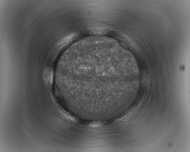 X0000098120076200804181532