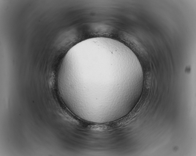 X0000098120077200804181532