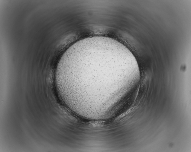 X0000098120078200804181532