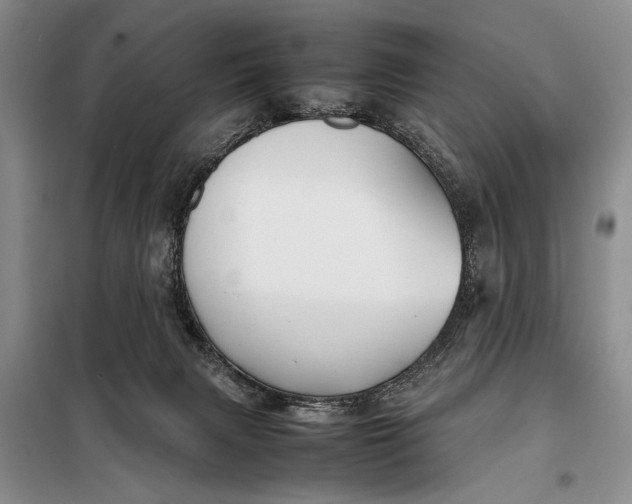 X0000098120079200804181532