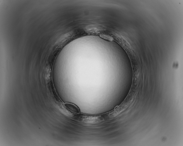 X0000098120081200804181532