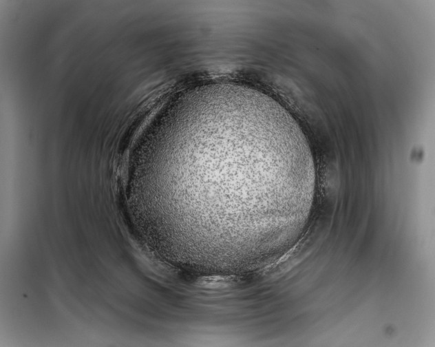 X0000098120082200804181532