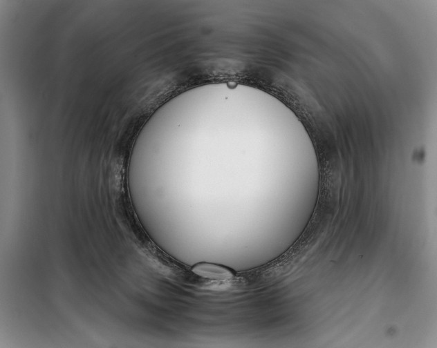X0000098120083200804181532