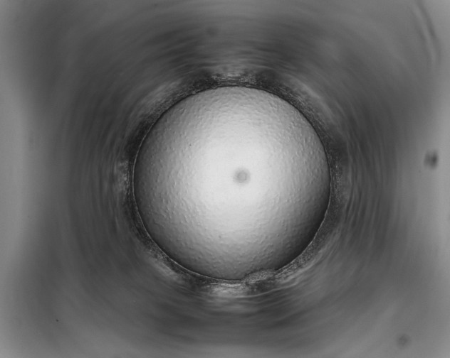 X0000098120085200804181532