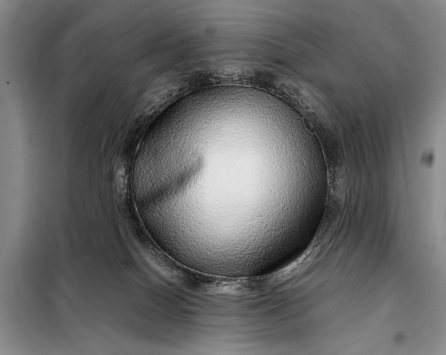 X0000098120086200804181532