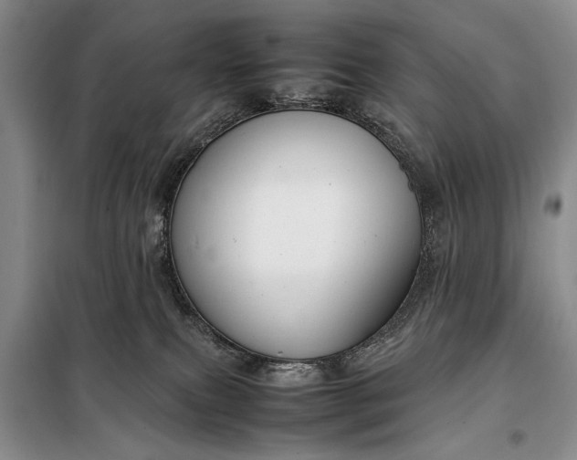 X0000098120087200804181532