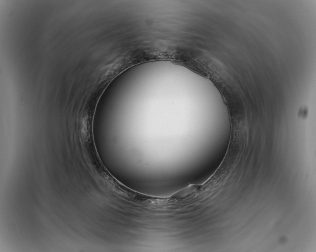 X0000098120088200804181532