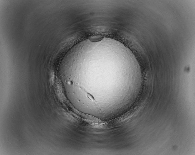X0000098120089200804181532