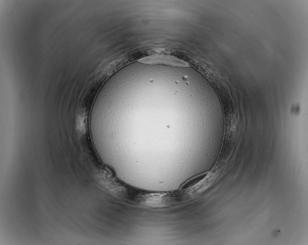 X0000098120090200804181532