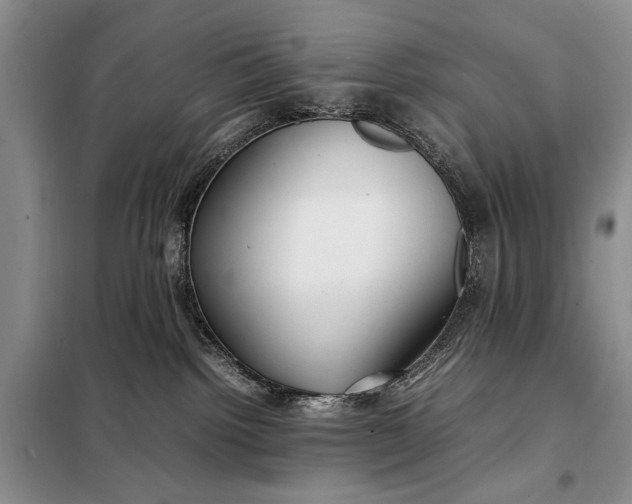 X0000098120092200804181532