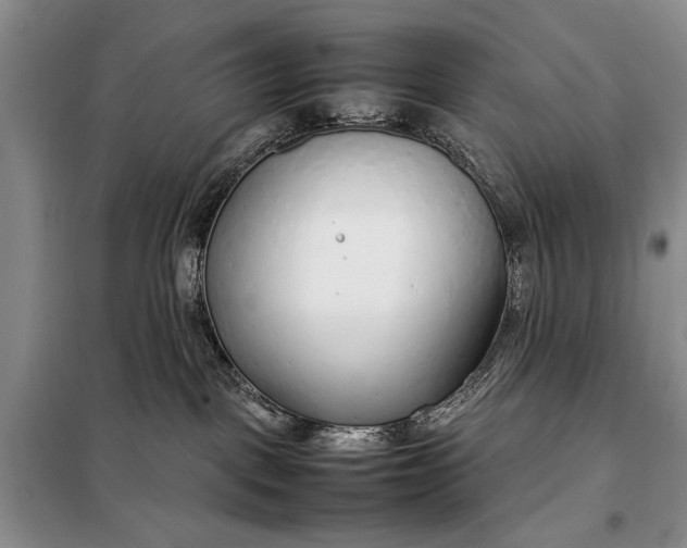 X0000098120093200804181532