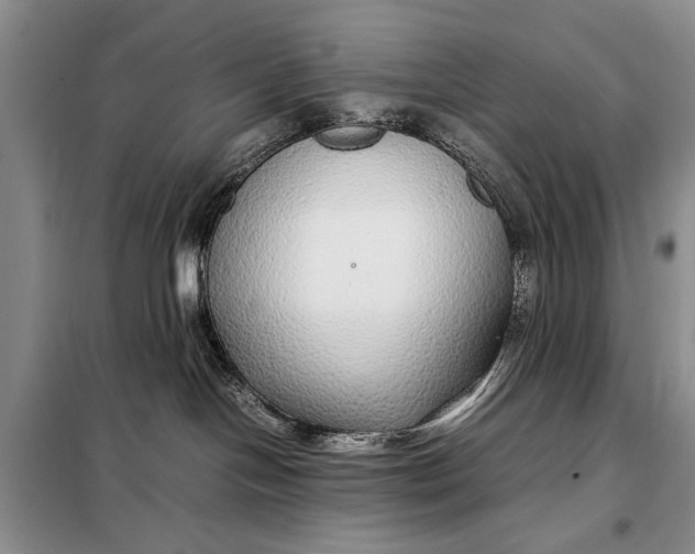 X0000098120094200804181532