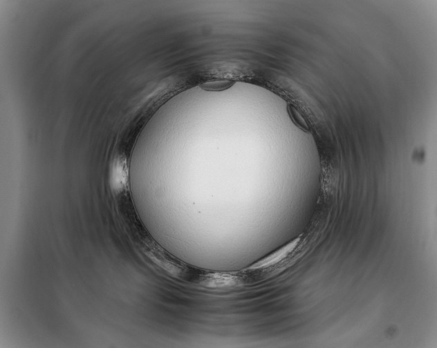 X0000098120095200804181532