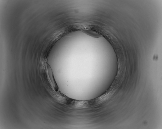 X0000098120096200804181532