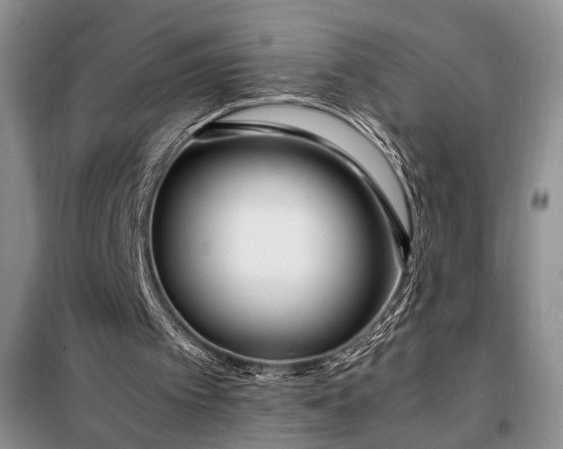 X0000098120097200804181531
