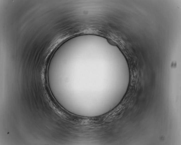 X0000098120098200804181531