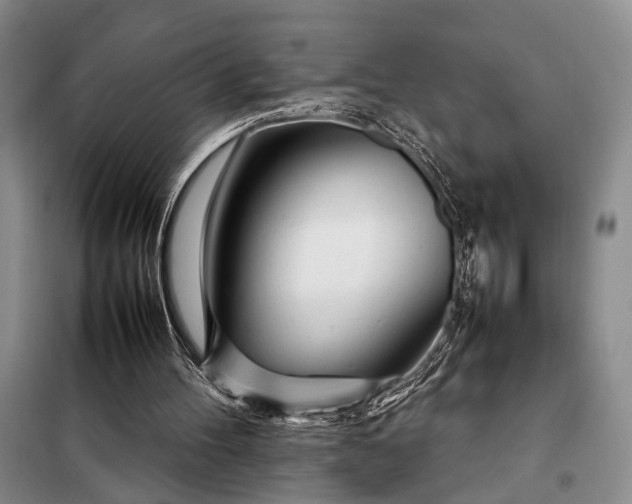 X0000098120100200804181531
