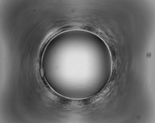 X0000098120101200804181531