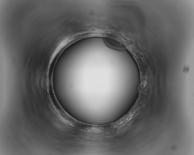 X0000098120102200804181531