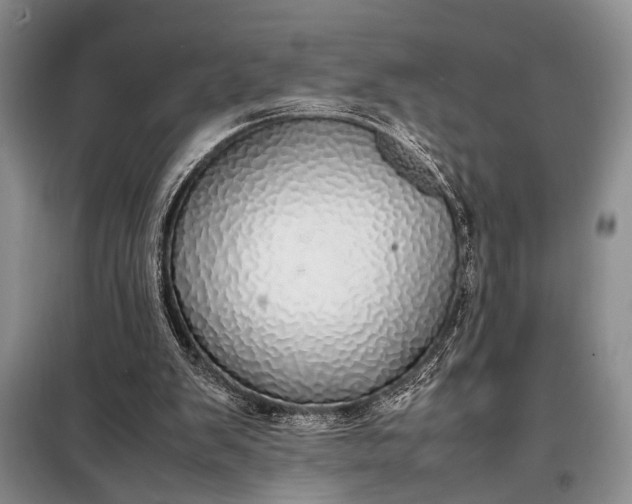 X0000098120103200804181531