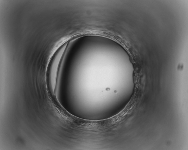 X0000098120104200804181531