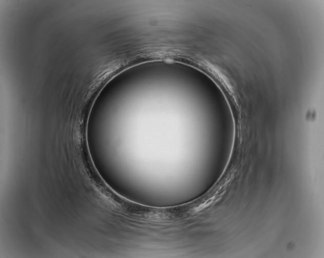 X0000098120105200804181531