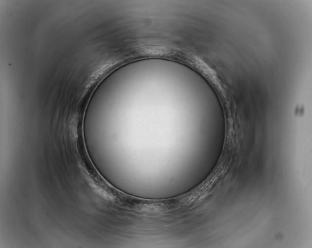 X0000098120106200804181531