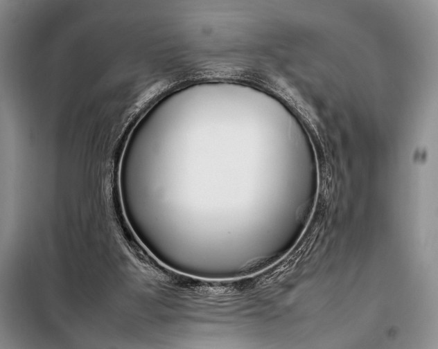 X0000098120107200804181531