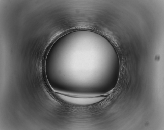 X0000098120108200804181531