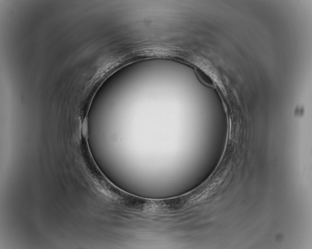 X0000098120109200804181531