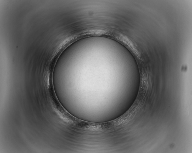 X0000098120110200804181531