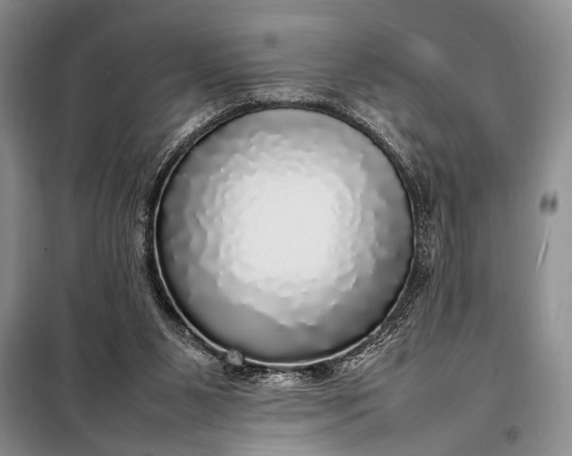 X0000098120111200804181531