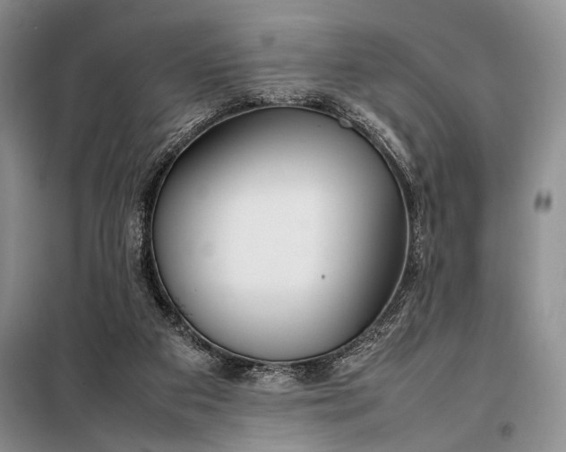 X0000098120113200804181531