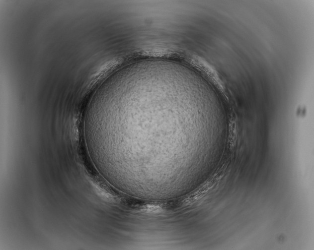 X0000098120114200804181531