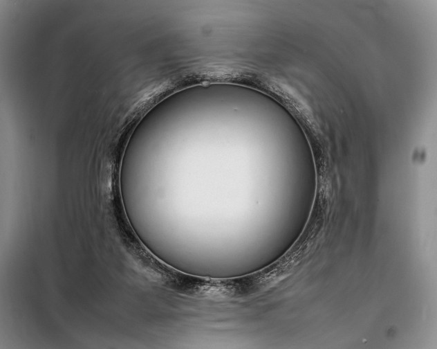 X0000098120115200804181531