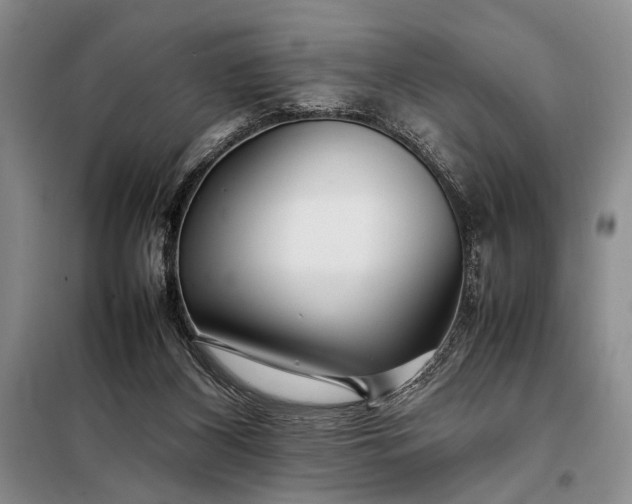 X0000098120116200804181531