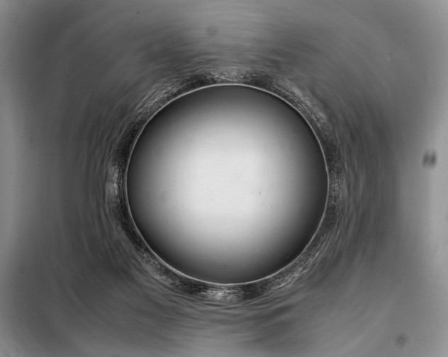 X0000098120117200804181531
