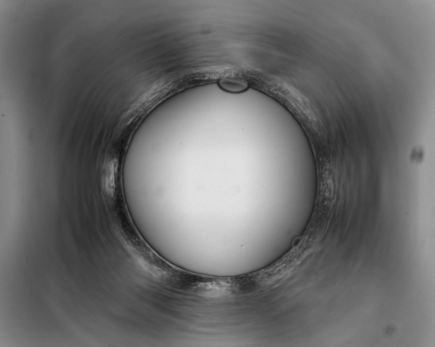 X0000098120118200804181531