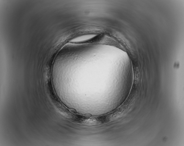 X0000098120119200804181531