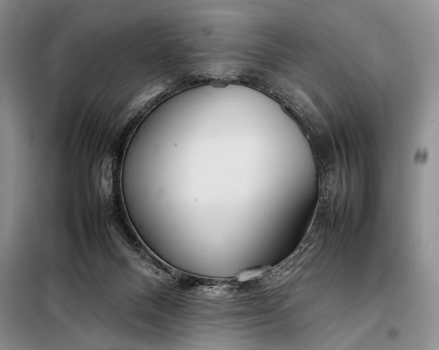 X0000098120120200804181531