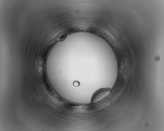 X0000098120122200804181531