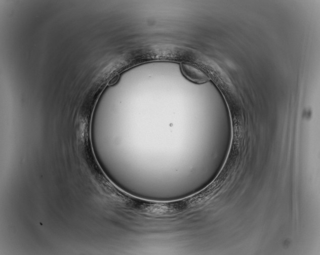 X0000098120123200804181531