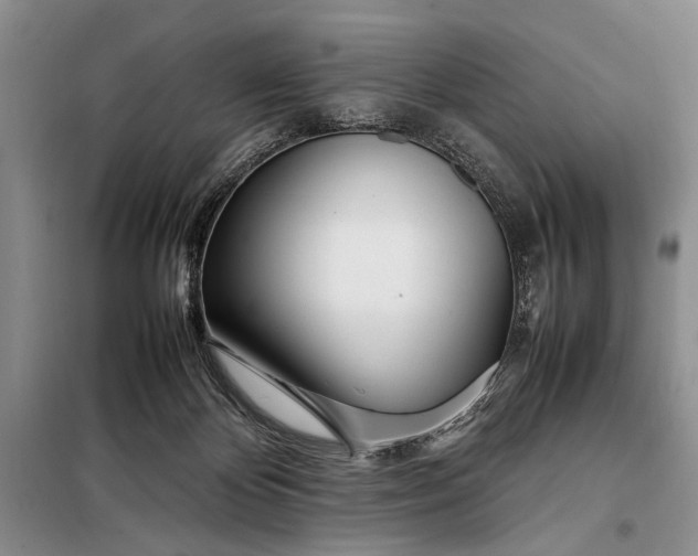 X0000098120124200804181531