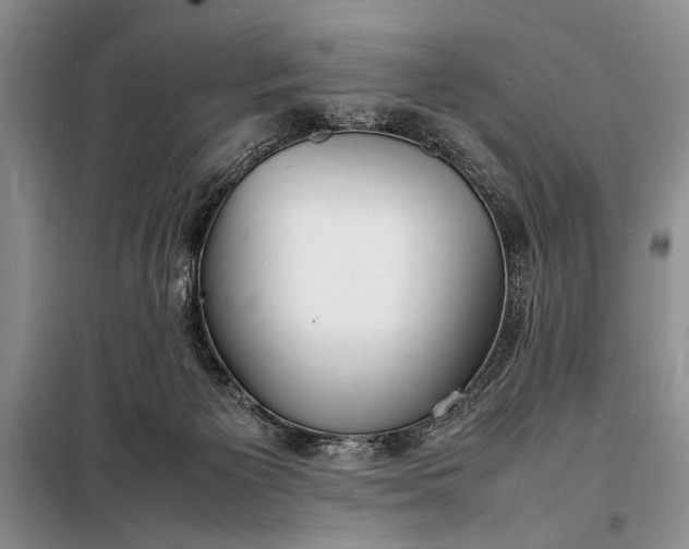 X0000098120125200804181531