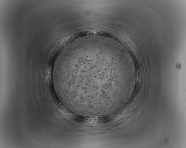 X0000098120127200804181531