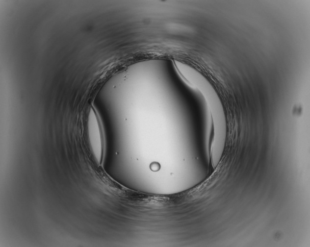 X0000098120128200804181531