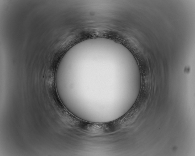 X0000098120129200804181531