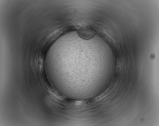 X0000098120130200804181531
